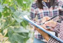 Abertas inscrições para curso técnico em agropecuária