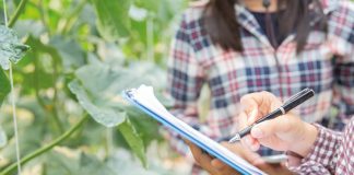 Abertas inscrições para curso técnico em agropecuária