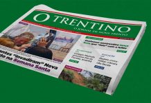 Edição 767 Impressa – Jornal O Trentino
