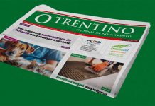 Edição 779 Impressa – Jornal O Trentino