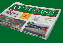 Edição 784 Impressa – Jornal O Trentino